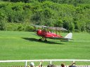 DeHavillandTigerMoth.jpg