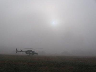 Foggy-Morning.JPG